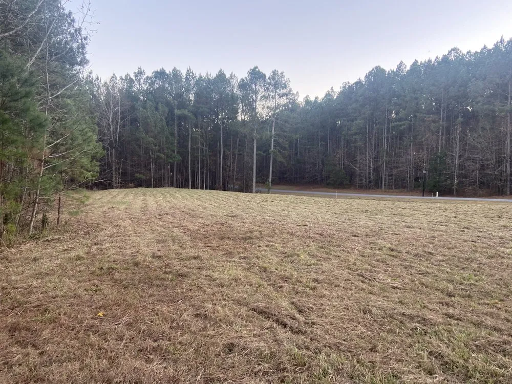 Expert residential landscaping experts serving Greenwood, SC - Clipper Partners Land Management