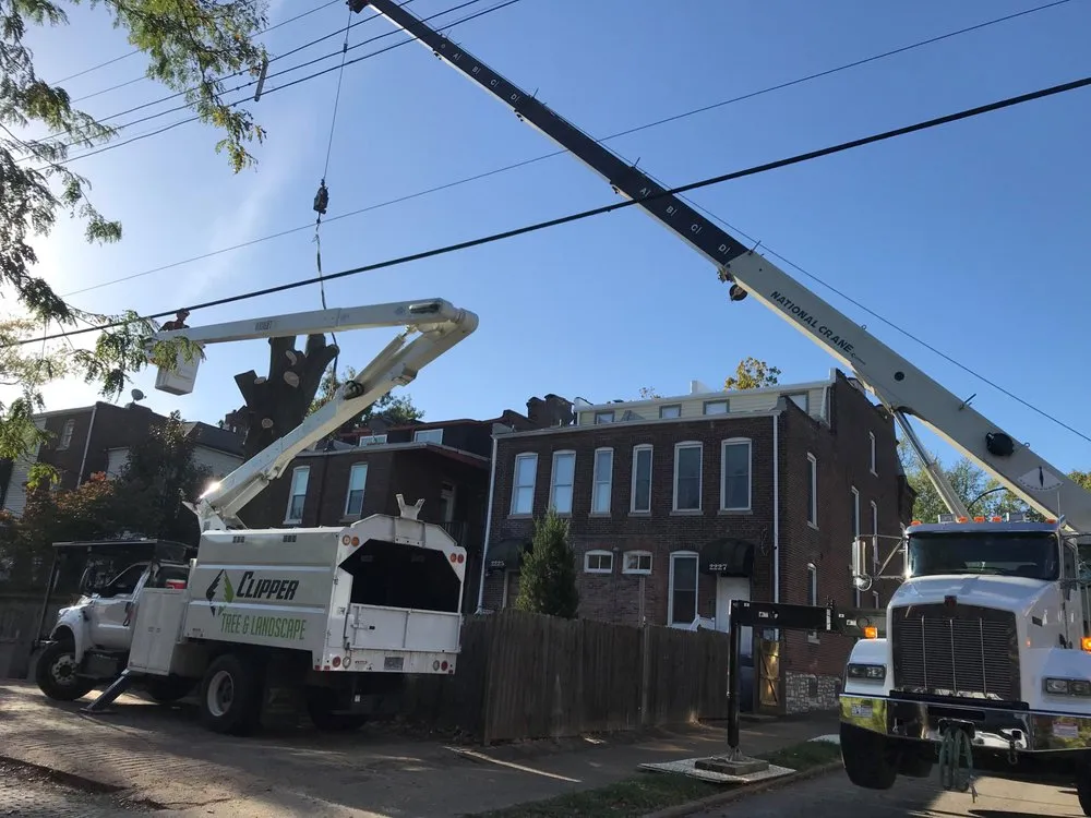 Professional garden landscaping near you across St. Louis, MO - Clipper Tree & Landscape