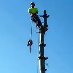 Professional landscaping services in St. Louis, MO - Clipper Tree & Landscape