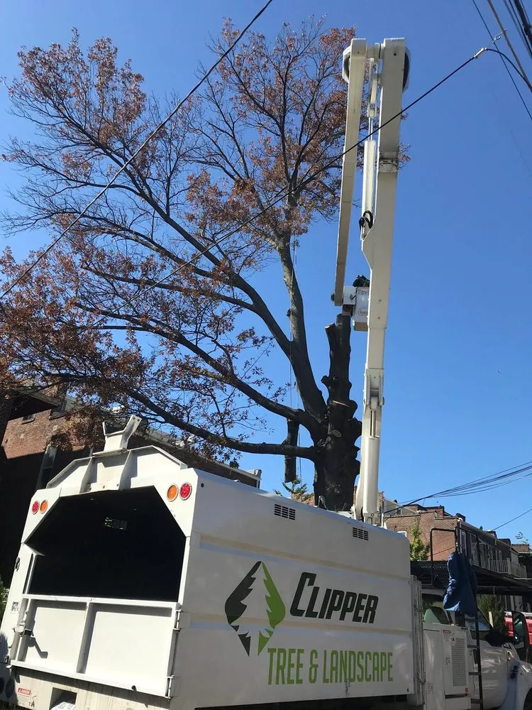 Custom garden landscaping experts serving St. Louis, MO - Clipper Tree & Landscape