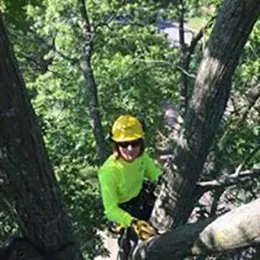 Local residential landscaping experts serving St. Louis, MO - Clipper Tree & Landscape