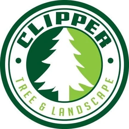 Affordable residential landscaping in St. Louis, MO by Clipper Tree & Landscape