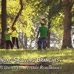 Expert landscape installation in St. Louis, MO by Clipper Tree & Landscape