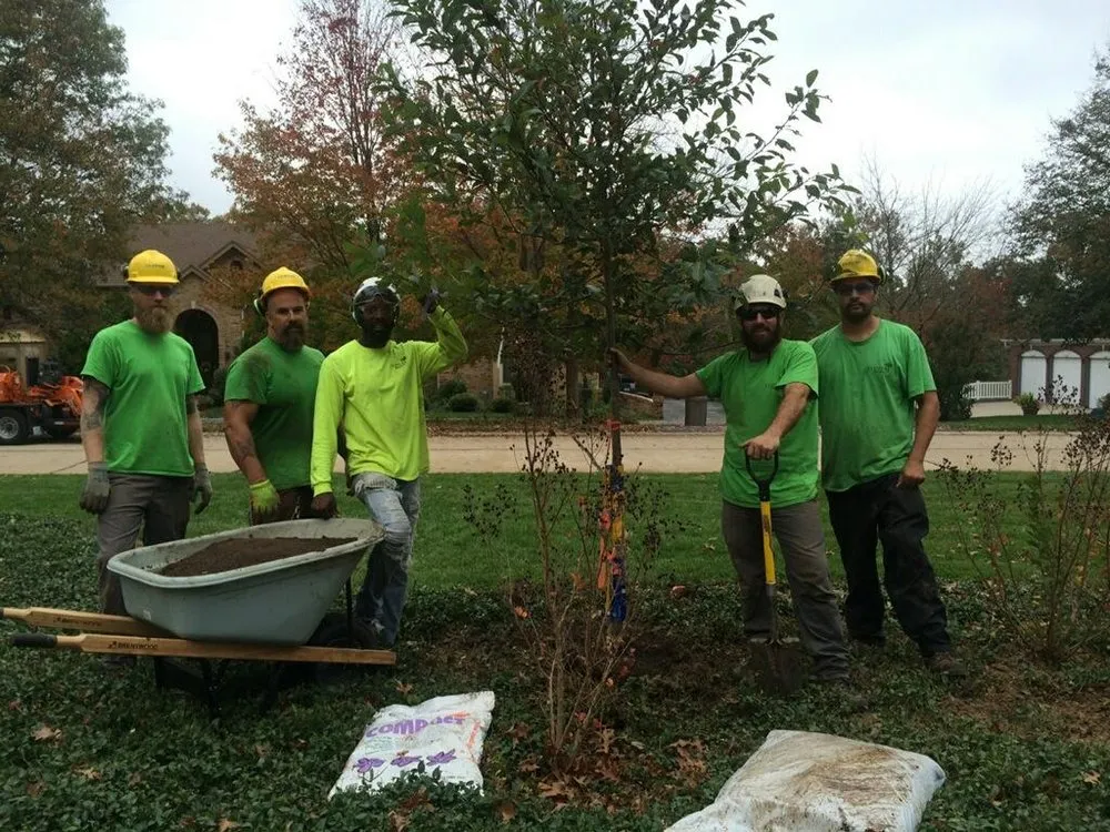 Professional landscape design in St. Louis, MO by Clipper Tree & Landscape