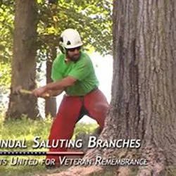 Professional lawn mowing service for homes across St. Louis, MO - Clipper Tree & Landscape