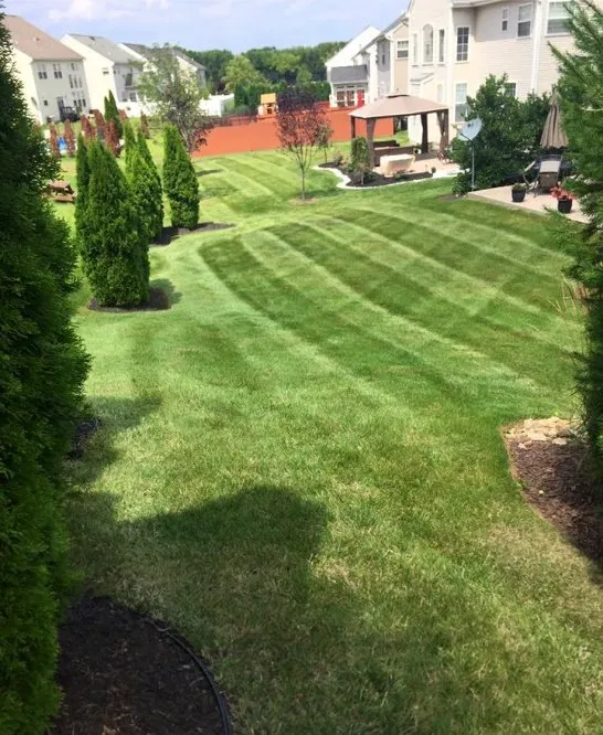 Custom lawn mowing service in Catasauqua, PA - Clippers Lawn Care