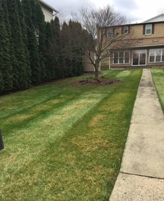 Top-rated landscape installation in Catasauqua, PA - Clippers Lawn Care