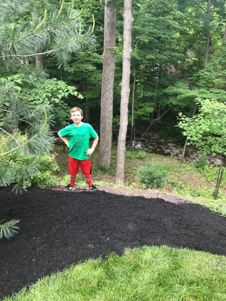 Trusted residential landscaping in Cincinnati, OH - Clippers Lawn Care