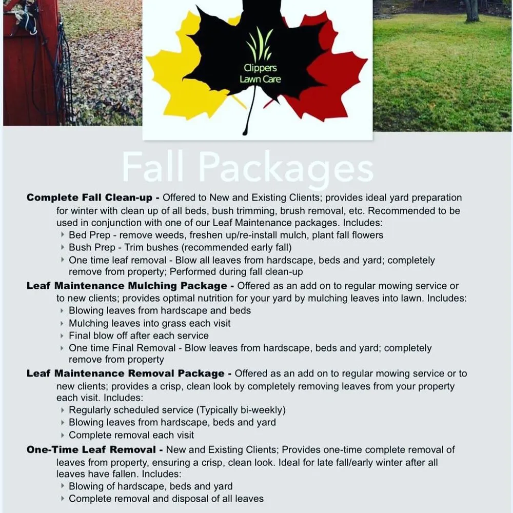 Top-rated landscaping services for year-round maintenance in Cincinnati, OH by Clippers Lawn Care