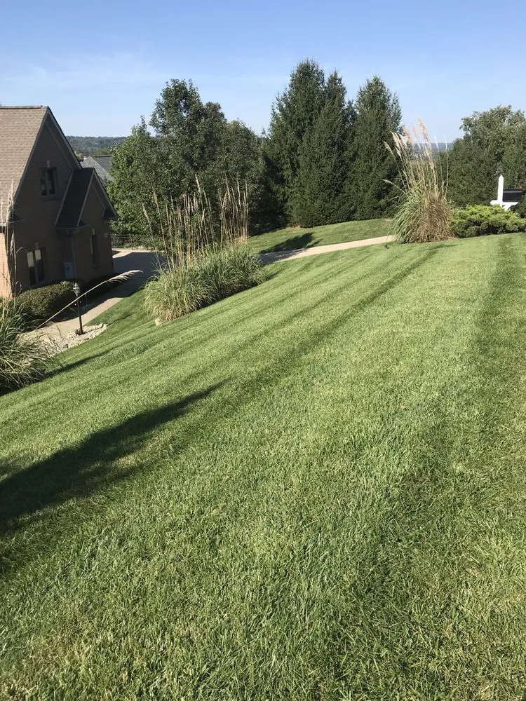 Professional yard cleanup service near you in Cincinnati, OH by Clippers Lawn Care