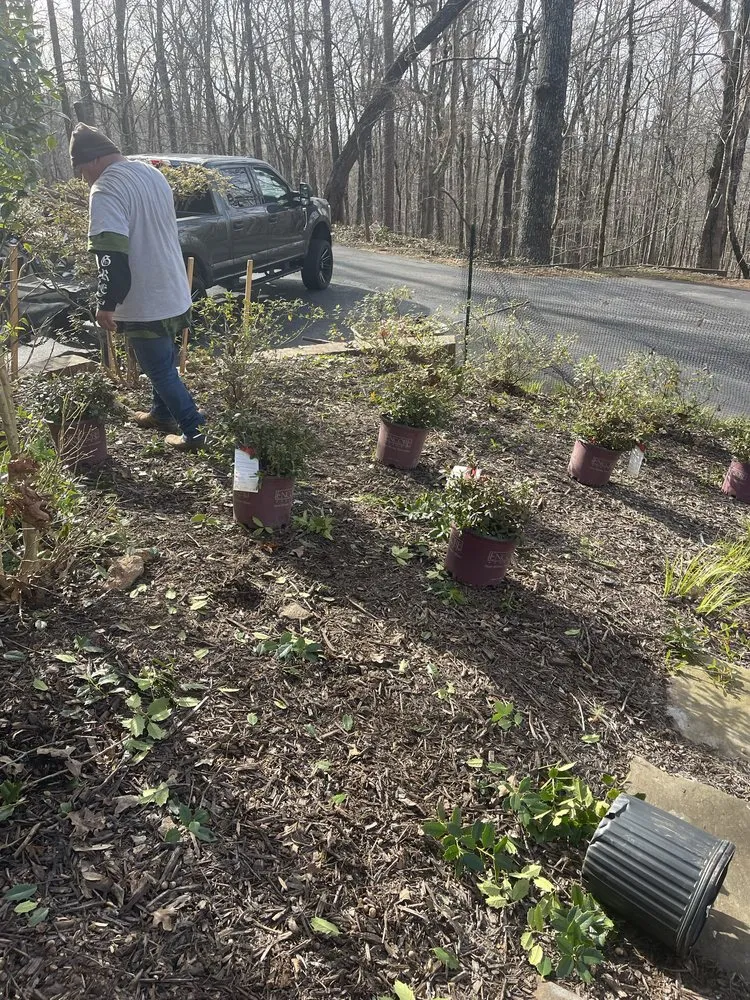 Expert garden landscaping for residential properties in Cumming, GA by Clipping Landscape