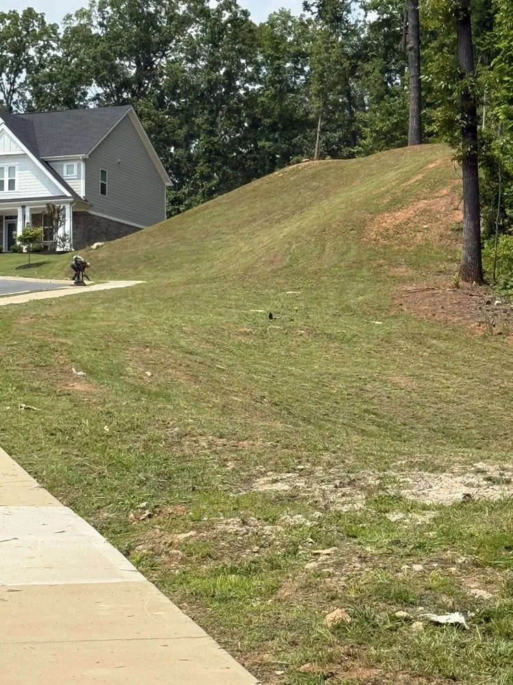 Expert residential landscaping for outdoor upgrades across Cumming, GA - Clipping Landscape