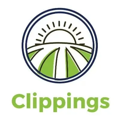 Trusted yard maintenance in Peabody, MA - Clippings Landscaping