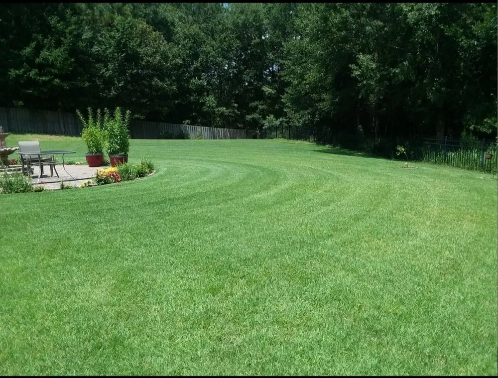 Expert landscaping services for year-round maintenance across Mobile, AL - Clips Lawn Care