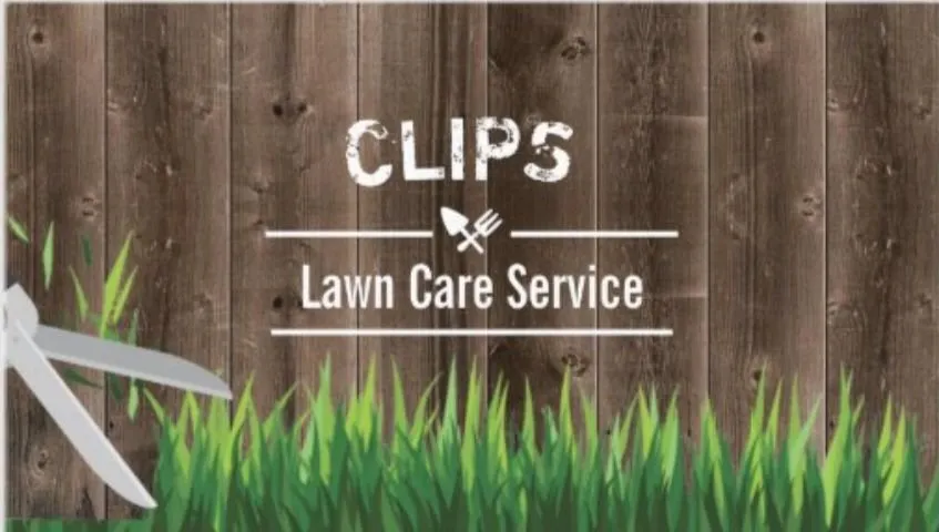 Top-rated lawn mowing service experts serving Pine Ridge, FL - Clips Lawn Care