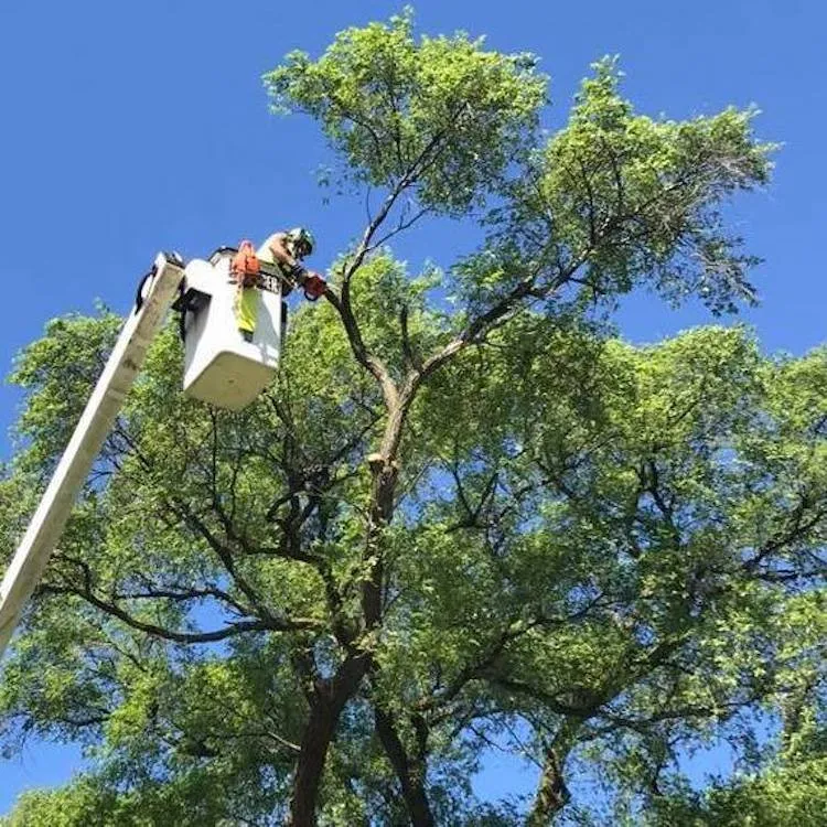 Reliable garden landscaping in Kenosha, WI - CLJ Enterprises