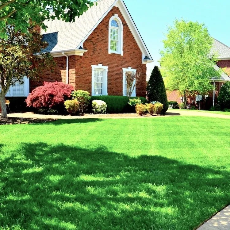Professional yard cleanup service for year-round maintenance across Kenosha, WI - CLJ Enterprises