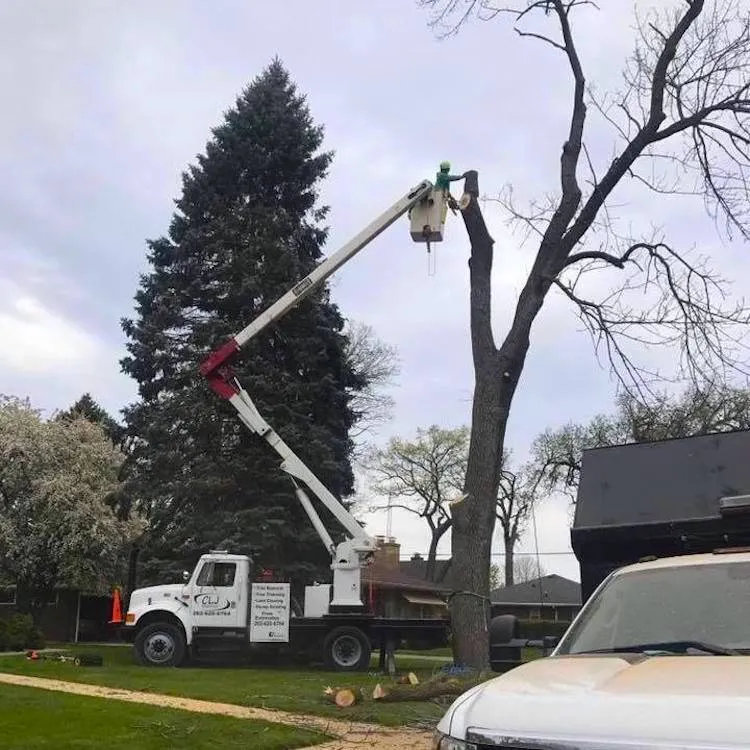 Reliable outdoor landscaping in Kenosha, WI - CLJ Enterprises