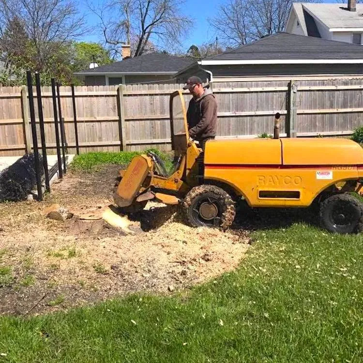 Top-rated lawn care service for beautiful yards in Kenosha, WI by CLJ Enterprises