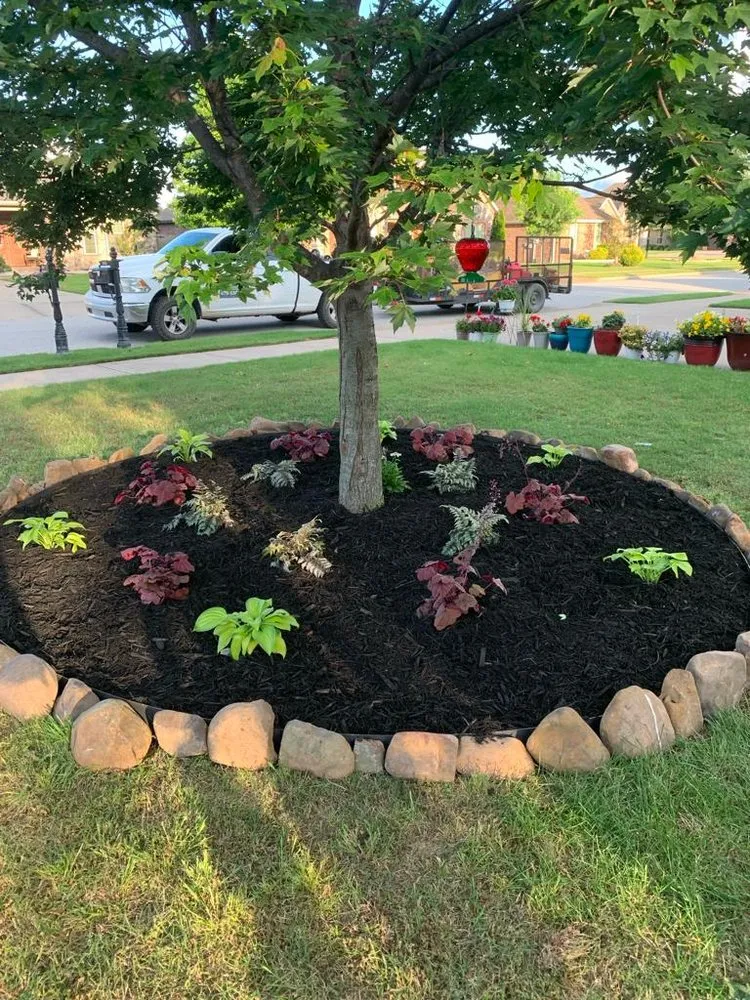 Affordable residential landscaping near you in Springdale, AR by CLJ Lawn Service