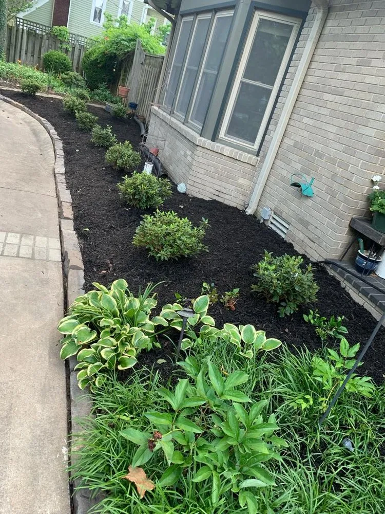 Top-rated landscape installation in Springdale, AR by CLJ Lawn Service