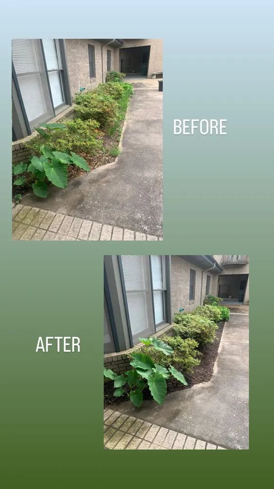 Professional landscape installation experts serving Springdale, AR - CLJ Lawn Service