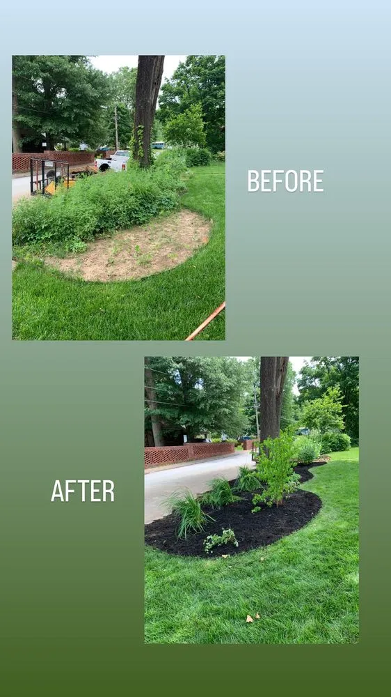 Professional yard maintenance for outdoor upgrades in Springdale, AR by CLJ Lawn Service