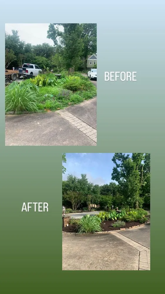 Expert landscape installation in Springdale, AR - CLJ Lawn Service