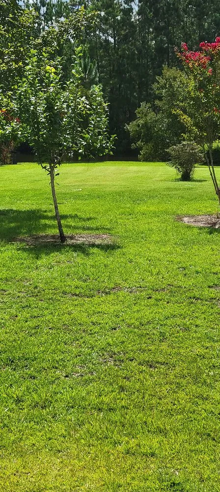 Expert outdoor landscaping experts serving Darien, GA - CLK Lawncare