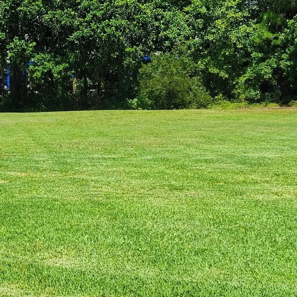 Top-rated yard maintenance with custom design in Darien, GA by CLK Lawncare