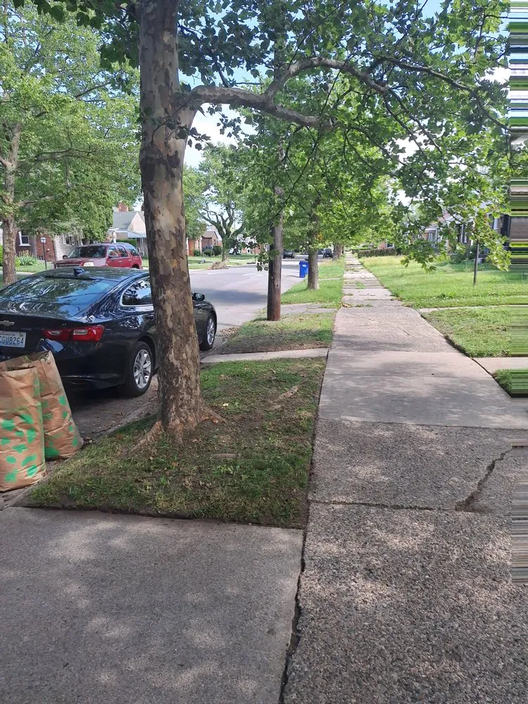 Trusted outdoor landscaping experts serving Detroit, MI - Clm Landscaping