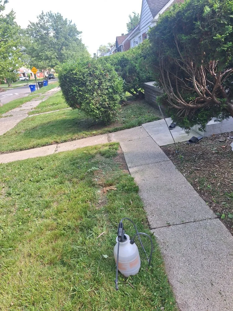 Custom landscape design for outdoor upgrades across Detroit, MI - Clm Landscaping