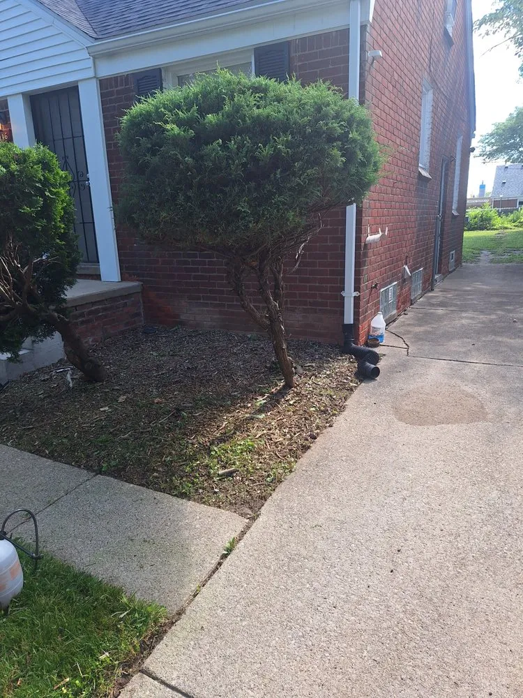 Local garden landscaping with custom design in Detroit, MI by Clm Landscaping