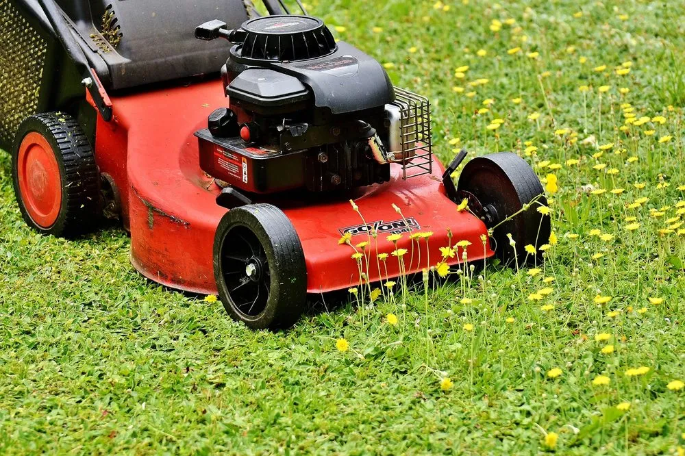 Professional landscape installation experts serving Pine Springs, MN - Clogreen Lawn and Cleaning Service