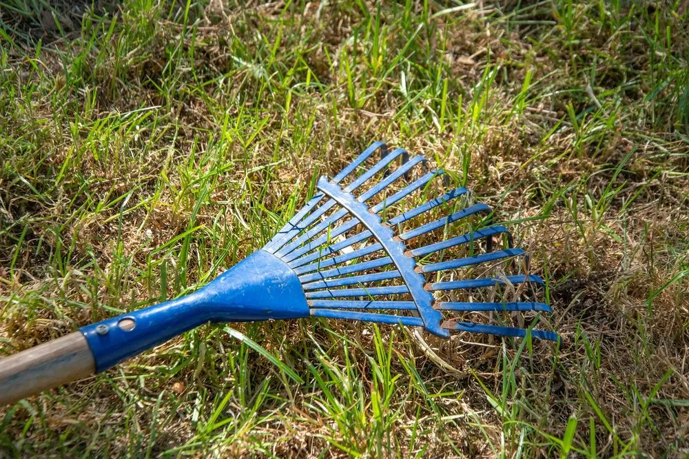Local outdoor landscaping in Pine Springs, MN - Clogreen Lawn and Cleaning Service