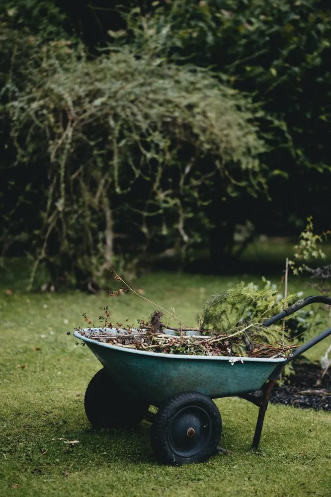 Local yard maintenance in Pine Springs, MN by Clogreen Lawn and Cleaning Service