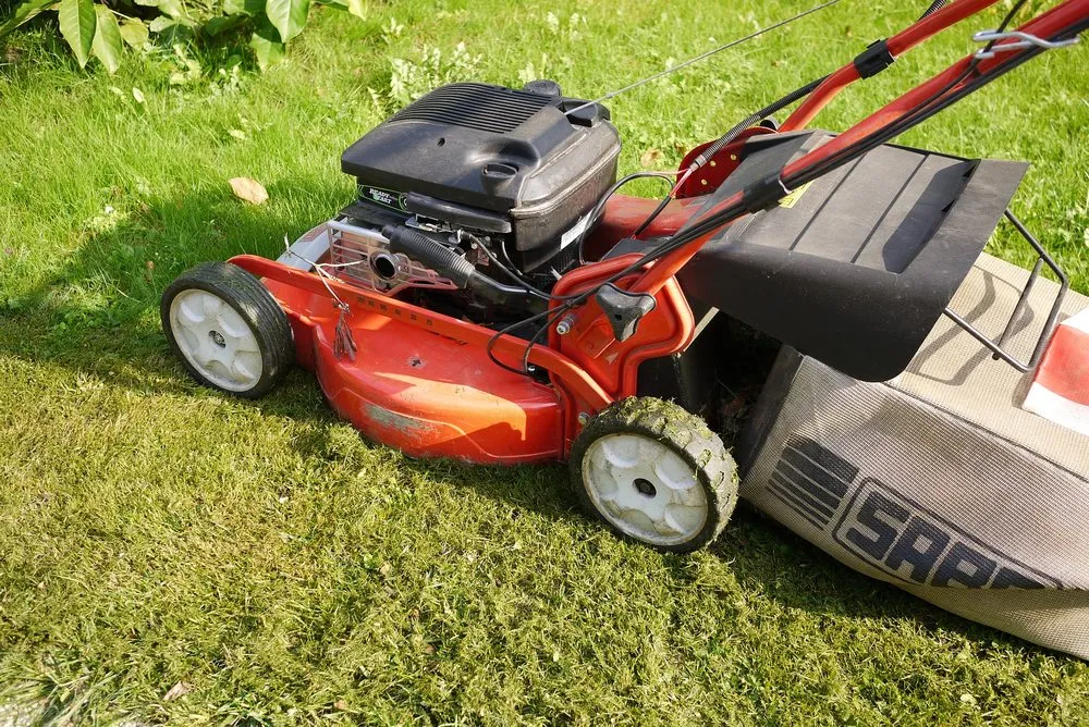 Reliable yard maintenance for homes in Pine Springs, MN by Clogreen Lawn and Cleaning Service