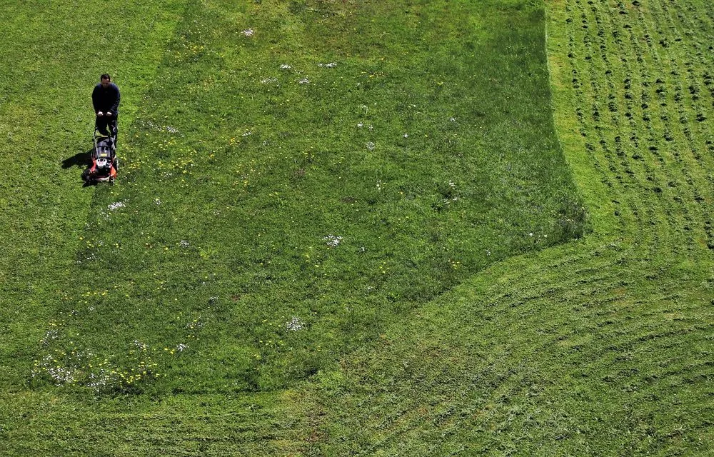 Reliable yard cleanup service for beautiful yards in Pine Springs, MN by Clogreen Lawn and Cleaning Service