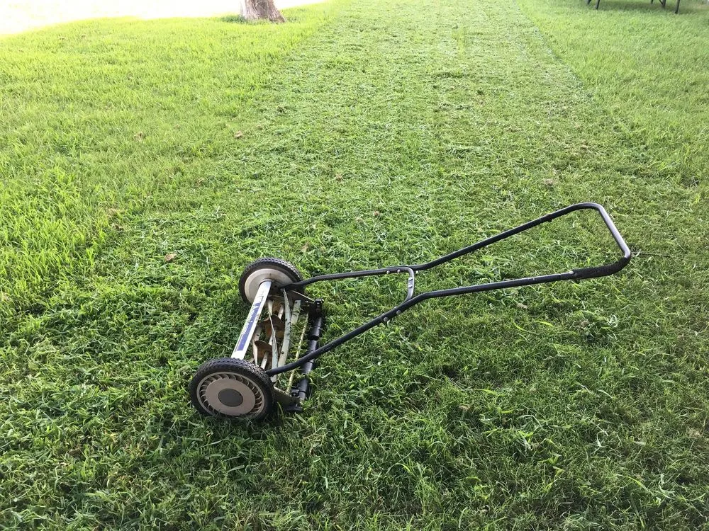 Custom yard maintenance with custom design across Pine Springs, MN - Clogreen Lawn and Cleaning Service