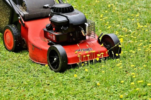 Clogreen Lawn and Cleaning Service Logo