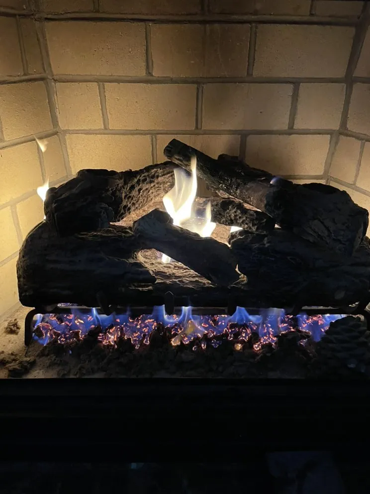 Reliable yard cleanup service experts serving Gaithersburg, MD - Clor-Pro Services