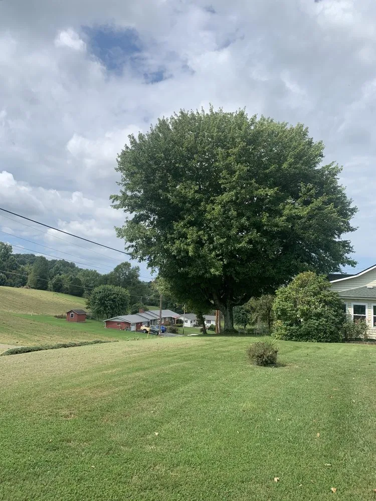 Trusted lawn mowing service in Bristol, TN - Close Call Tree and Lawn Care Service