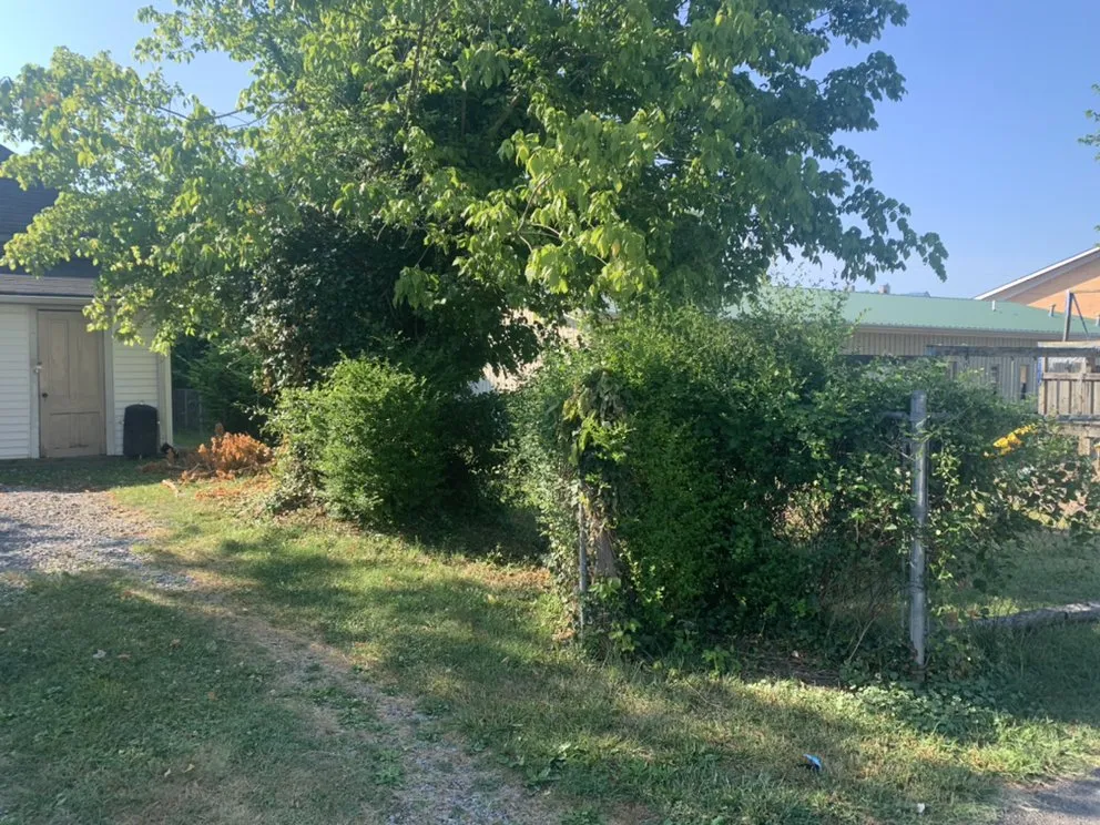 Local lawn mowing service in Bristol, TN - Close Call Tree and Lawn Care Service