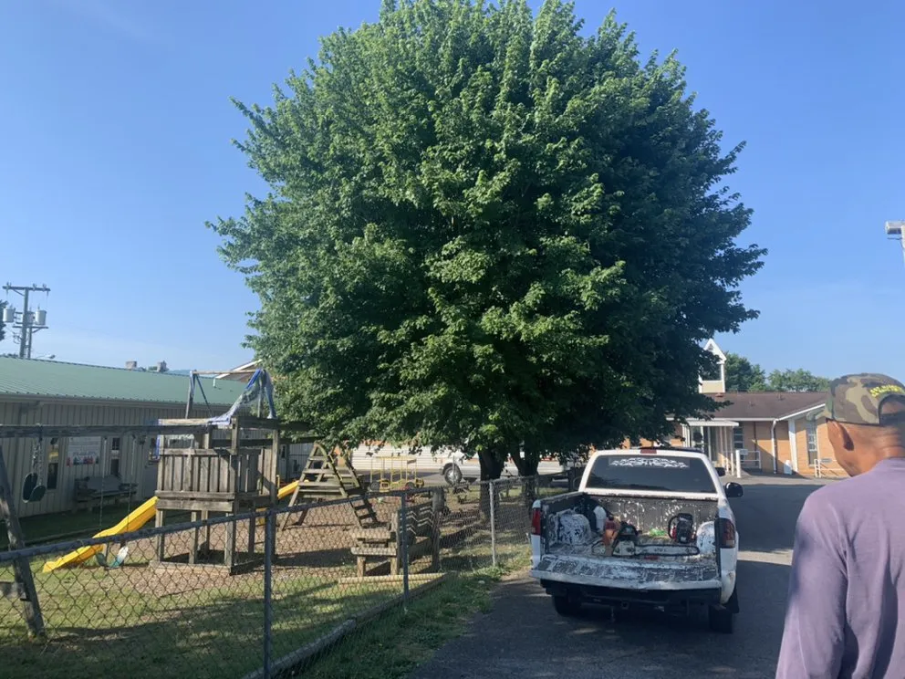 Trusted outdoor landscaping in Bristol, TN - Close Call Tree and Lawn Care Service