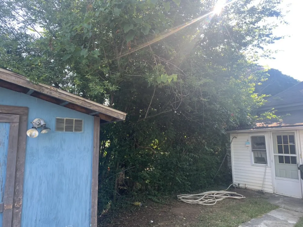 Affordable residential landscaping in Bristol, TN - Close Call Tree and Lawn Care Service