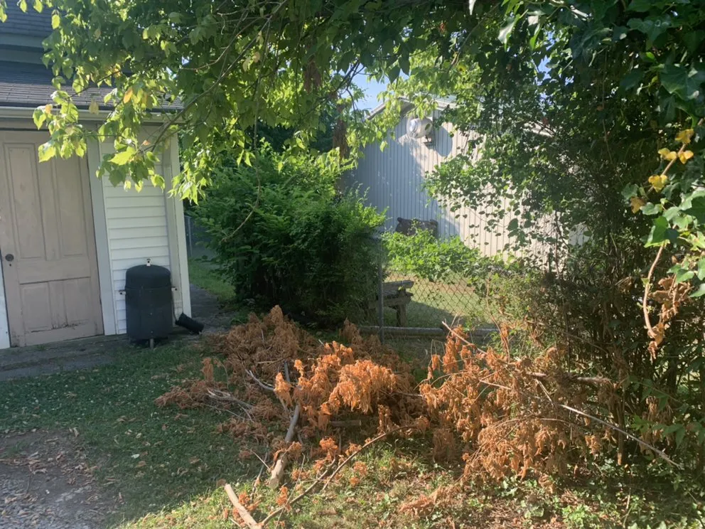 Reliable yard cleanup service experts serving Bristol, TN - Close Call Tree and Lawn Care Service