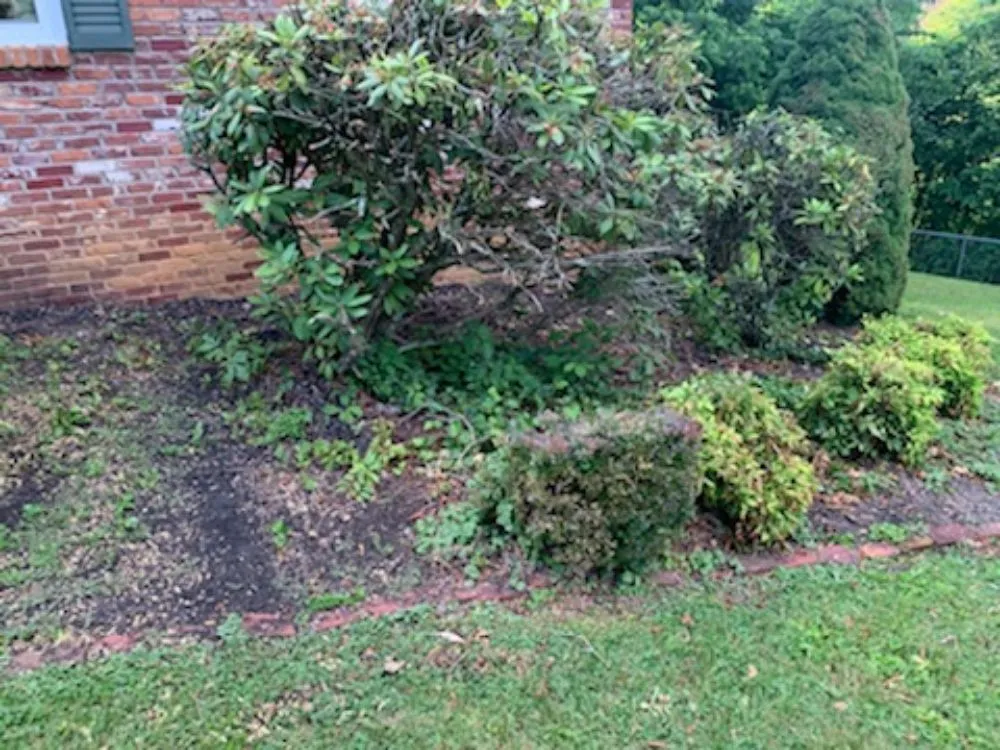 Expert residential landscaping for year-round maintenance in Bristol, TN by Close Call Tree and Lawn Care Service