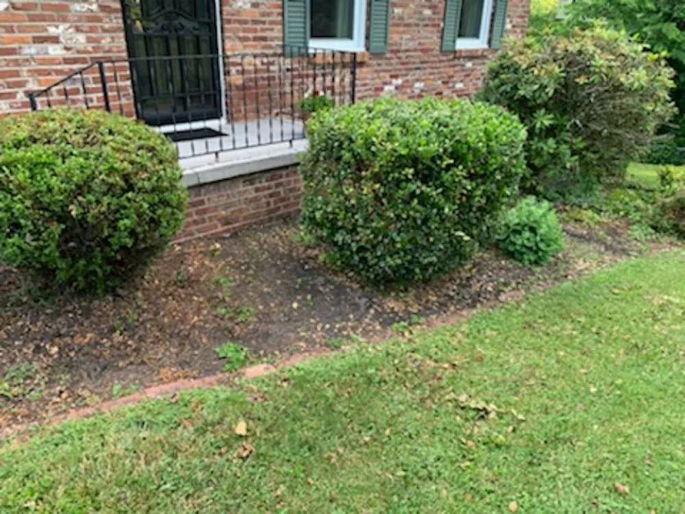 Custom lawn mowing service for beautiful yards across Bristol, TN - Close Call Tree and Lawn Care Service