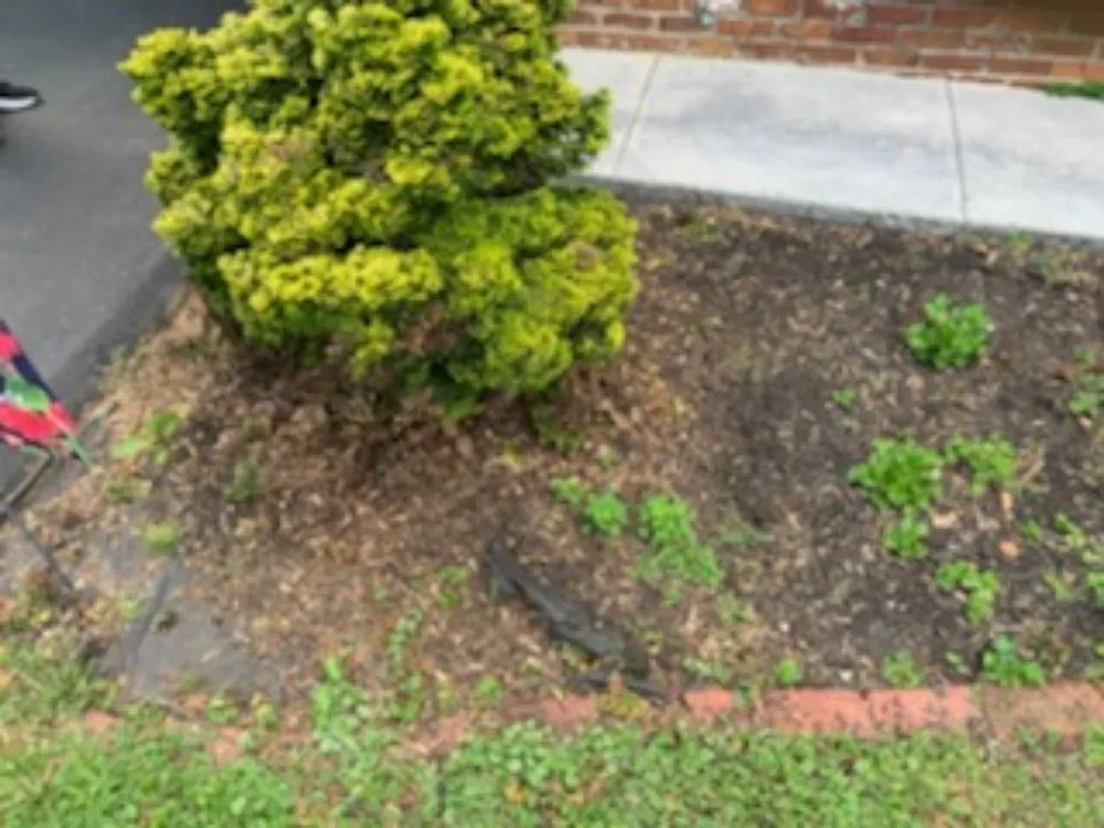 Custom residential landscaping for outdoor upgrades in Bristol, TN by Close Call Tree and Lawn Care Service