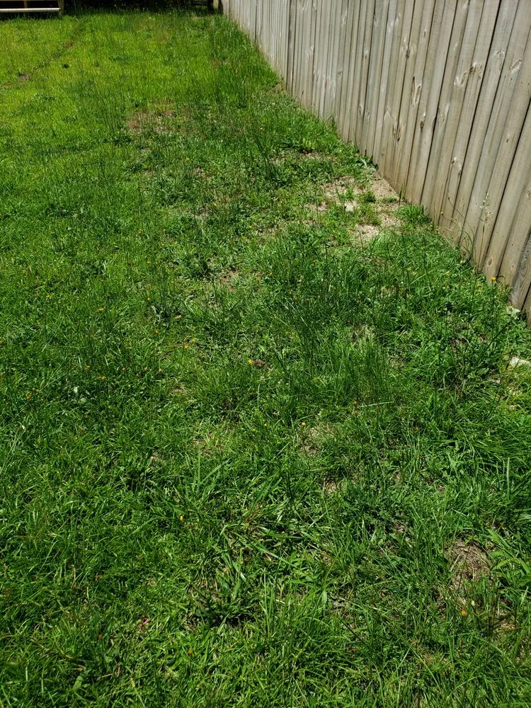 Reliable residential landscaping for beautiful yards across Fayetteville, NC - Close Cut Lawn Service